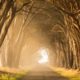 autoimmune diagnosis journey