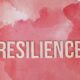 Nourishing Resilience: Key Nutraceuticals, Nutrients, and Foods to Support Stress Response